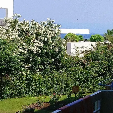 In Next To The Sea * Chaniotis